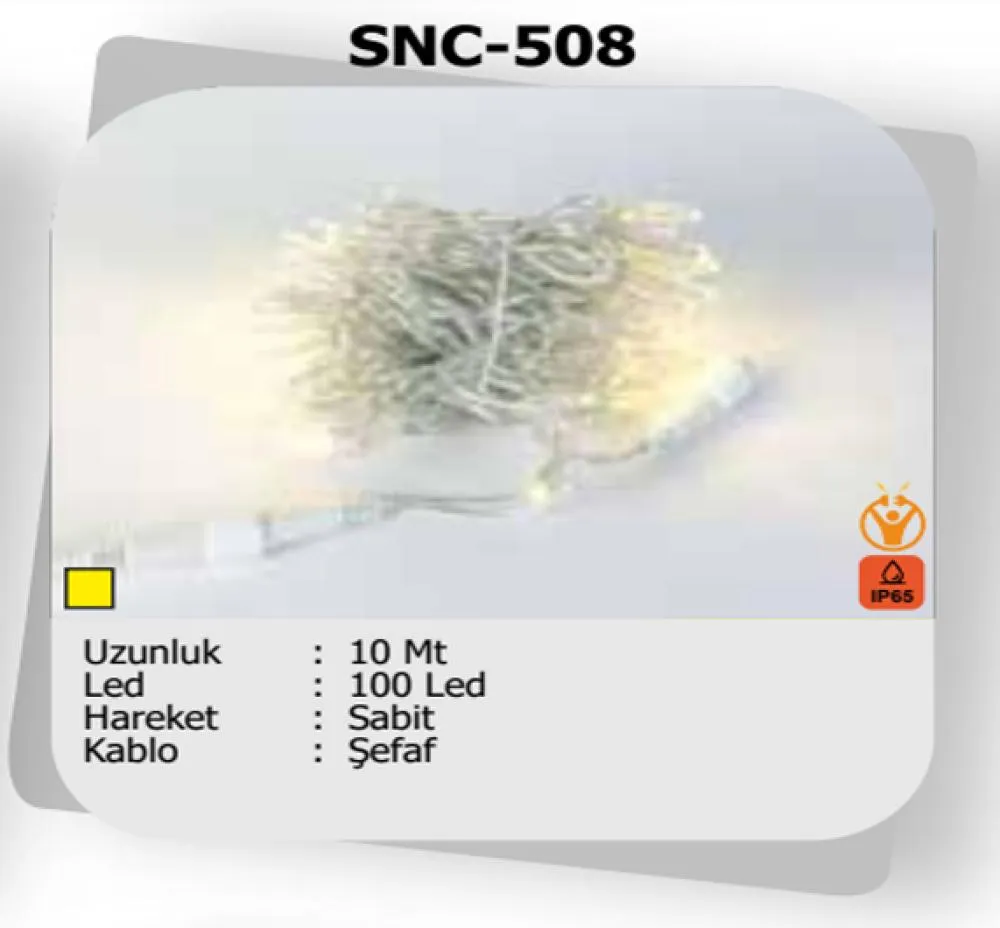 10 Metre Dış Mekan ip Led Sabit Animasyonsuz Şefaf Kablo