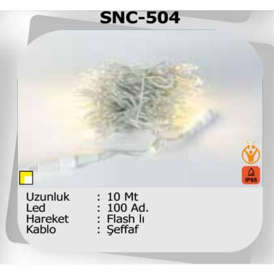 10 Metre Dış Mekan ip Led Flash Hareketli