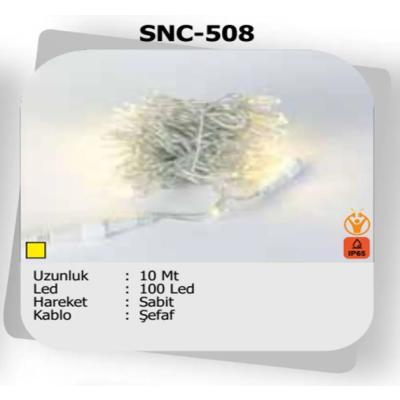 10 Metre Dış Mekan ip Led Sabit Animasyonsuz Şefaf Kablo